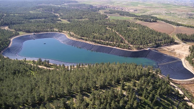 Леса на территории Израиля