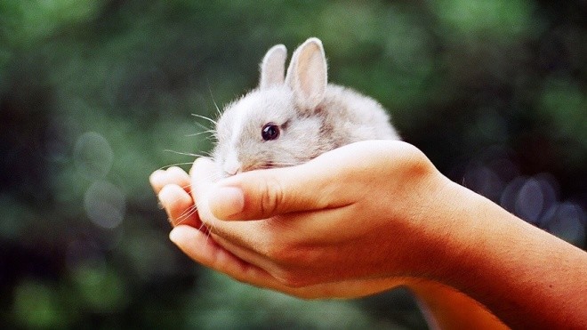 «Осим хаим» — наслаждайтесь жизнью!