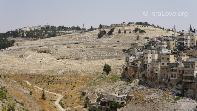 Миру надоели евреи, но при этом они ему очень нужны