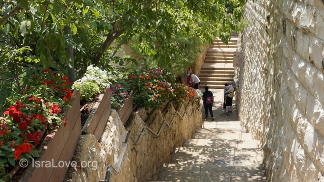 Об отношении к понаехавшим