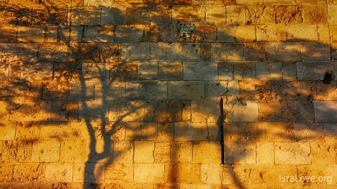 Почему в Израиле жить плохо :)