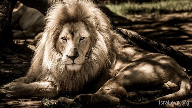 Шикарный анекдот о пользе вопросов