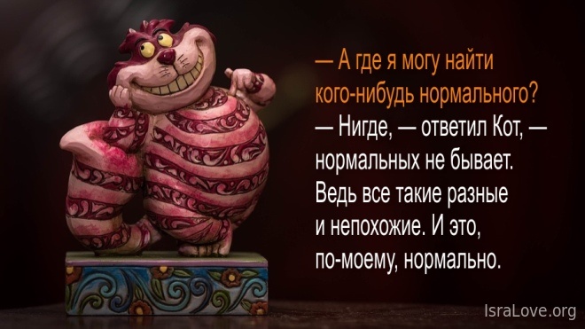 20 премудрых странностей Чеширского кота