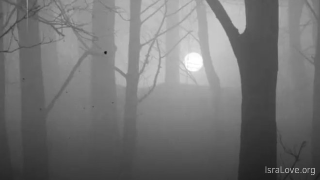 «Варварство» — стихотворение, от которого выворачивает душу