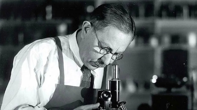 Макс Фактор — косметолог Голливуда из Рязани по имени Максимилиан Абрамович Факторович