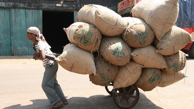 Купил Дурак на базаре Правду