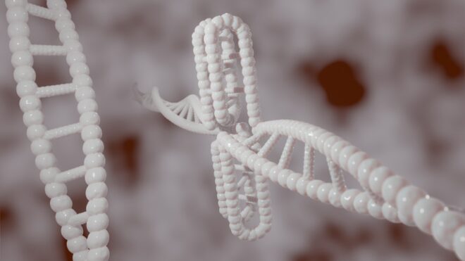 Заново создавая человека: Ученые начали проект по синтезу ДНК с нуля